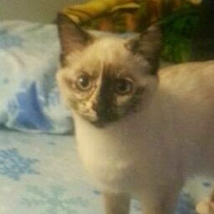 Meet your Posher, Susan